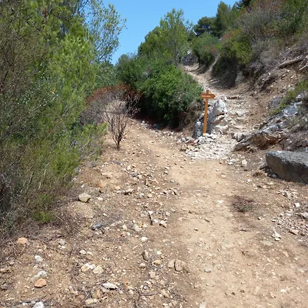 Amazing View - Monaco * كاب داي